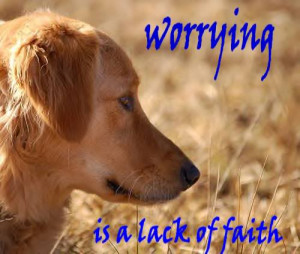 Dog Quotes (59)