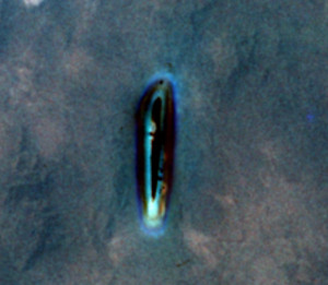 Date of discovery: Oct 2013, but photo taken in June 1965