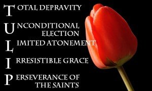 The doctrine of double predestination is the hallmark of John Calvin ...