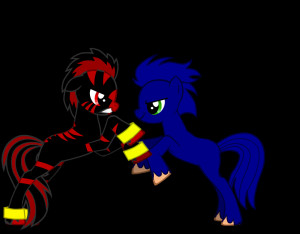 Shadow And Sonic Fighting