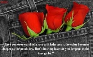 Latest Most Beautiful Red Rose Pictures with Romantic Love Quotes 2013