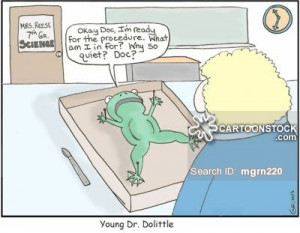 lesson biology lessons biology classes dissection cartoon 10 of 20