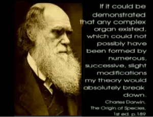 If Darwin was alive today, he would be arguing AGAINST the validity of ...