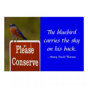 Bluebird Poster with Thoreau Quote by WorldDesign