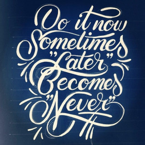 Don't follow your dreams, CHASE THEM! DO IT NOW, sometimes LATER ...