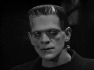 1931 18 views movie info full cast quotes locations frankenstein 1931 ...