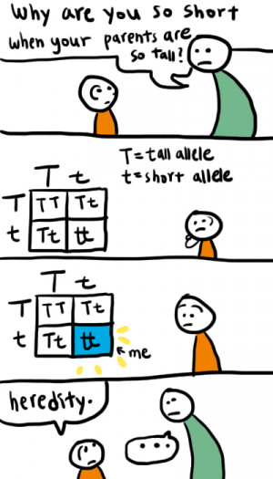 fuckyeahnerdyjokes:It’s sadder because it’s true.