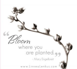 Bloom Inspirational Quote by Mary Engelbreit
