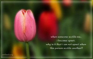Ego quotes when someone scolds me i become upset quotes