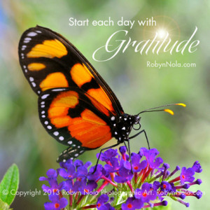 curtis quote quotation inspirational affirmation butterfly