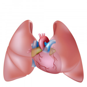 heart lung transplant