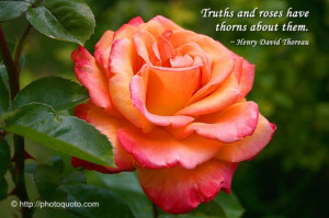 Truths and roses have thorns about them. ~ Henry David Thoreau