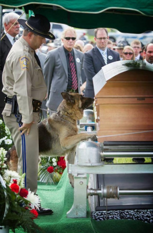 ... RIP Officer Jason Ellis of Bardstown Police Department, KY. Full story