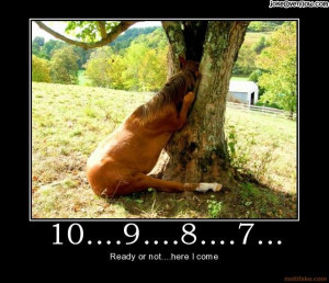 ... .com/wp-content/uploads/2010/03/motivational_counting-horse.jpg