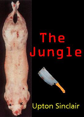 the jungle novel upton sinclair the jungle was a novel written by ...