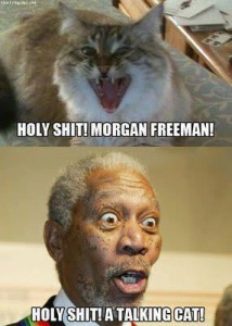holy shit it s morgan freeman holy shit it s morgan freeman