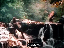 Into the Woods... AGONY!