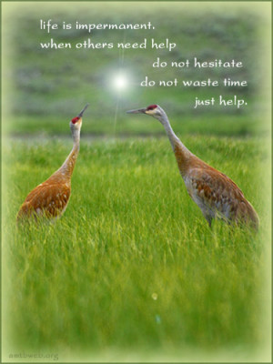 Help others quotes - Life is impermanent, when others need help do not ...