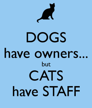 Credit for image The Keep Calm-O-Matic ]