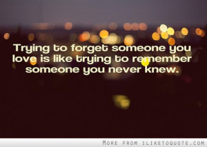 to forget someone you love is like trying to remember someone you ...