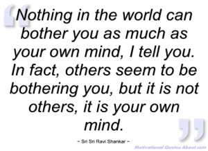 nothing in the world can bother you as sri sri ravi shankar