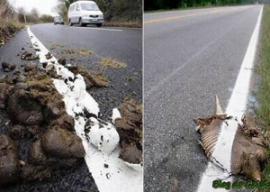 funny photo best quality of work Work Quality Of Lazy Workers