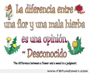 Flower-weed-spanish-humor-funny-quotes