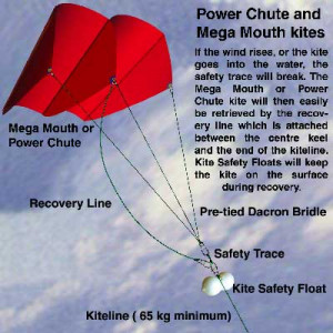 Kite Quotes http://www.fishingkites.co.nz/articles/articleeight.htm