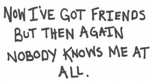 No I’ve Got Friends But Then Againg Nobody Knows Me At All