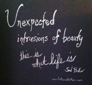 ... intrusions of beauty. This is what life is. - Saul Bellow #quote
