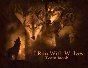 Twilight Wolf Pack Image