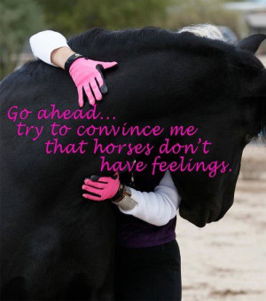 Cowgirl Horse Quotes (5)