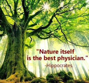 nature itself is the best physician