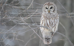 Percy Jackson Quote by LadyGaara28