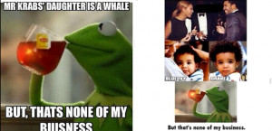 CHECKOUT the most Hillarious #NoneOfMyBusiness Meme by Kermit The Frog ...