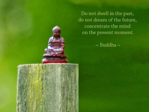 Animal Quotes Buddha Quote