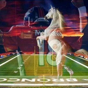 Pinned by Elayne Casados