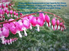 Step 8 - Forgiveness - 12 Step Family Support