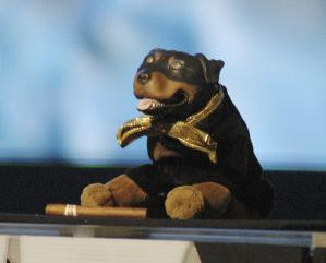 Triumph the Insult Comic Dog - Photo by Ethan Miller/Getty Images