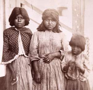 http://users.humboldt.edu/ogayle/hist383/1860CaliforniaIndians.png