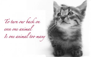 Links Our Friends Breed...