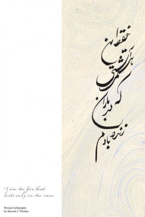 Persian (Farsi) translation of “I am the fire that lives only in the ...