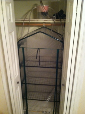 New Gear! Looking for creative input for Mini Greenhouse Fogger/FAE ...