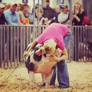 This is why I love showing Livestock!!!! Because moments like these ...