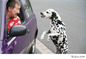 funny-summer-2013-funny-quotes-funny-funny-memes-funny-animals-funny ...