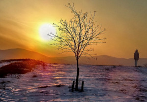 There is nothing either good or bad, but thinking makes it so ...