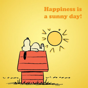 Happiness is a sunny day.