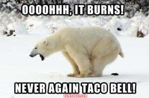 funny taco bell, polar bear taking a dump