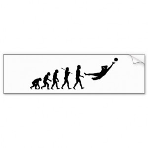 soccer_goalie_evolution_futbol_football_bumper_sticker ...