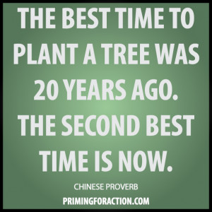 ... tree was 20 years ago. The second best time is now.” Chinese Proverb